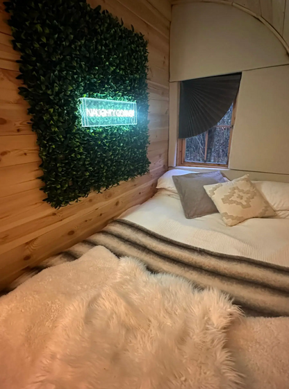 Evergreen Escape Cabin